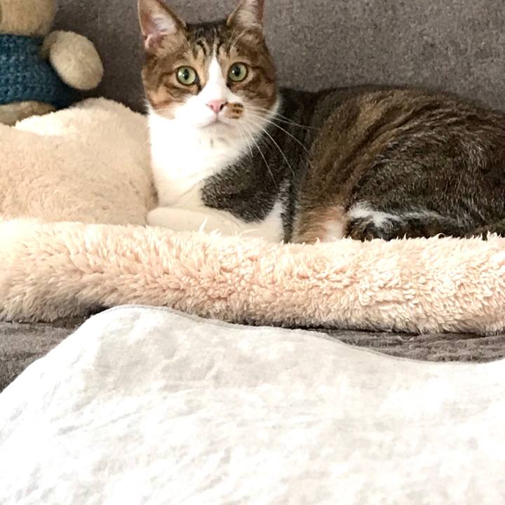 9d5af053 e300 4fe2 aefd 369406bd5220 1603603857004