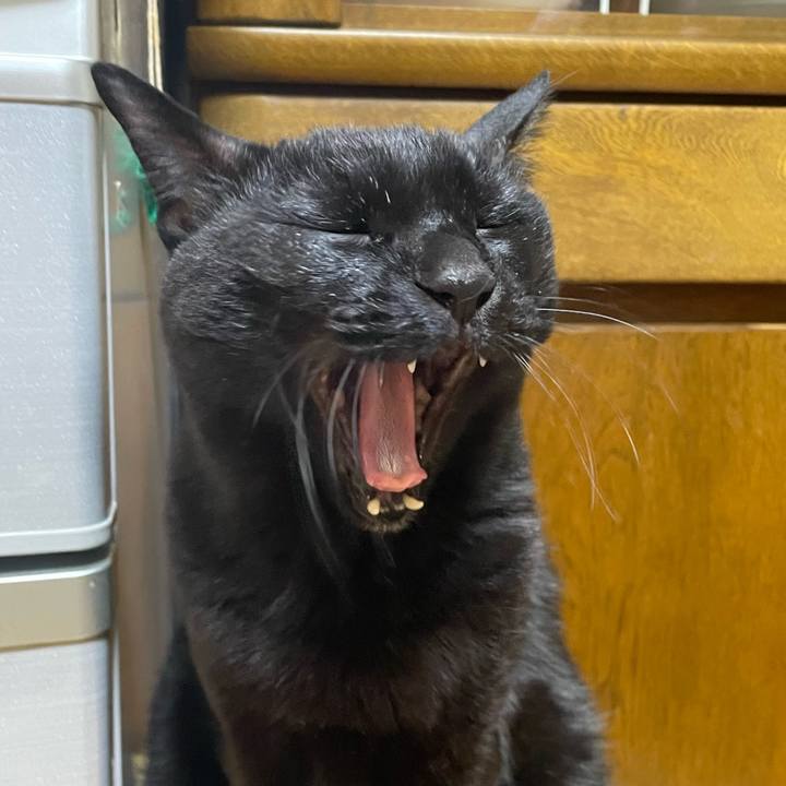 9d5b3175 45ee 48df 8a7d 12e72546279b 1773139374816