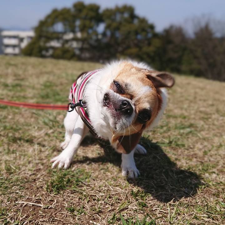 9d5b3b8a dc38 4b6e a543 643ba1fe073c 1586668511417