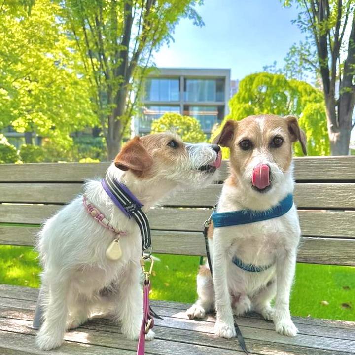 9d5b4dc9 d409 4a4a 9b97 4c91f129e914 1714103823237