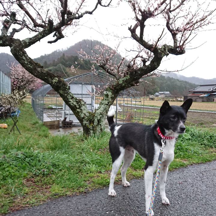 9d5b8753 e7a4 42fe bb29 1abc090dc97c 1521669803588