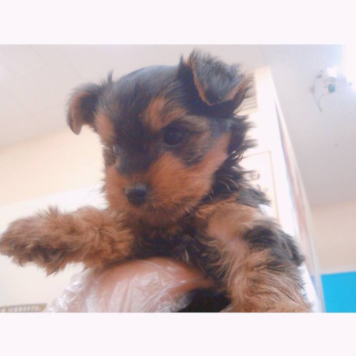 9d5b9f15 c769 44c7 84bc 581fadc76786 1535180286929