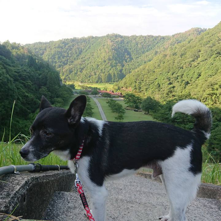 9d5ba94c 3f7c 4b35 ba77 58959b62ff97 1627449564031