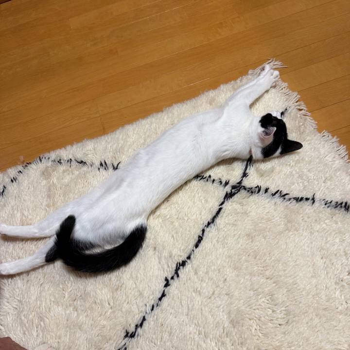 9d5bbdab d8ef 4a1b 8db4 040539360733 1761024978945