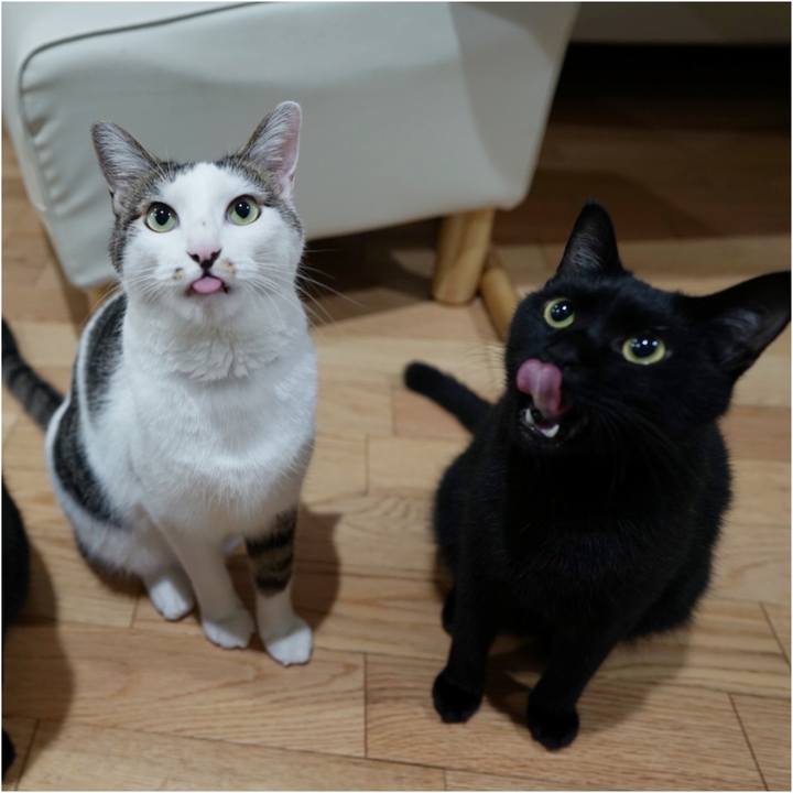 9d5bde02 9dc5 4581 bff6 f5433852df70 1565912900173