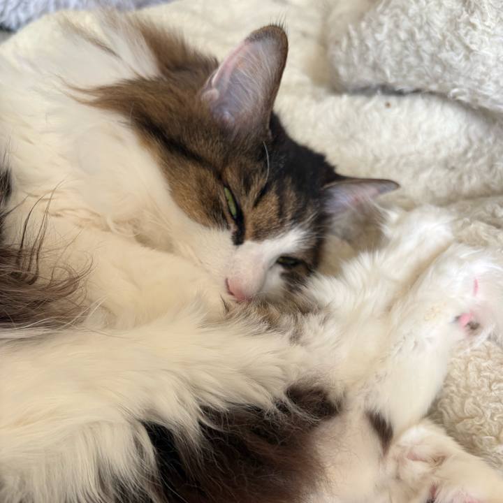 9d5be473 4fcc 4b32 ba1d a0e7ad10928f 1774228596802