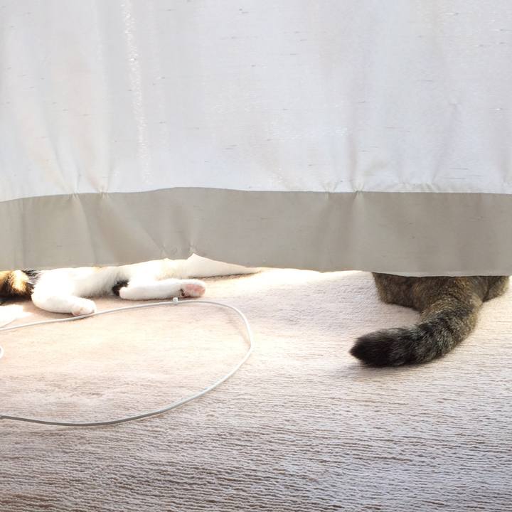 9d5bec0e 2262 4f34 9de9 b8d48e327998 1524477519435