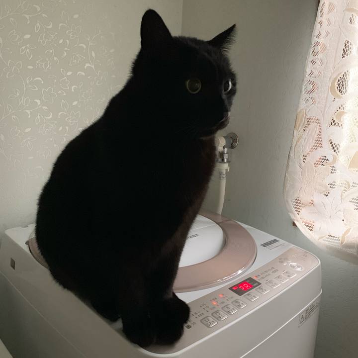 9d5c271d a5a9 4208 8a31 5b010348401d 1552785032485