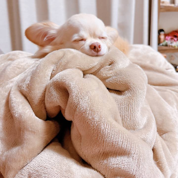 9d5c3b49 a27f 4959 8393 56a5af94fbbe 1665314940072