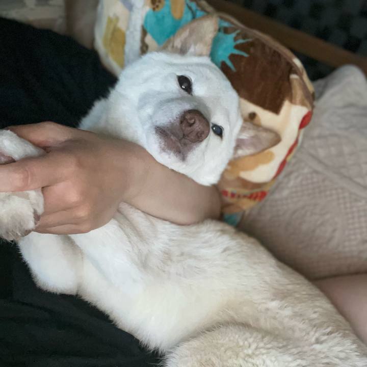 9d5c473d 8cb4 4681 83d9 97afaa7709c5 1652426560312