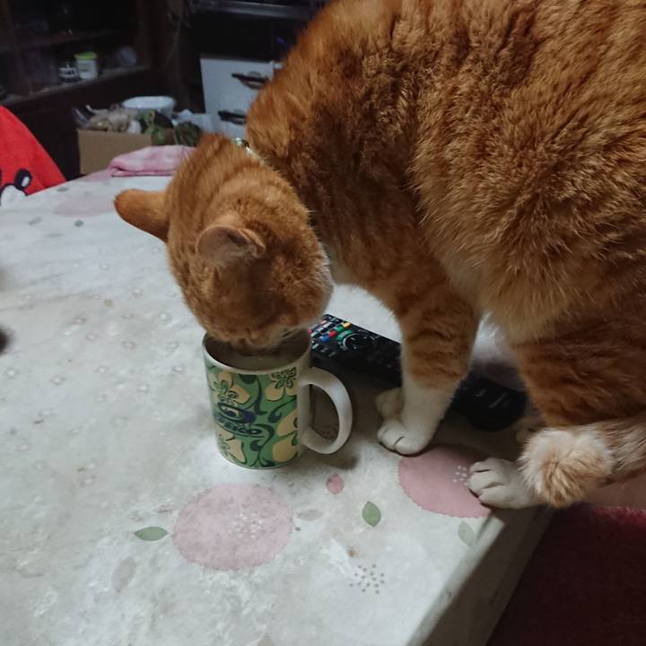 9d5c52e0 a8e4 44cb 95d8 832b4f19acbd 1580507094537