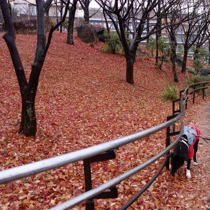 9d5c8a14 d439 4c10 a4d1 c9019b2e2822 1736210070213