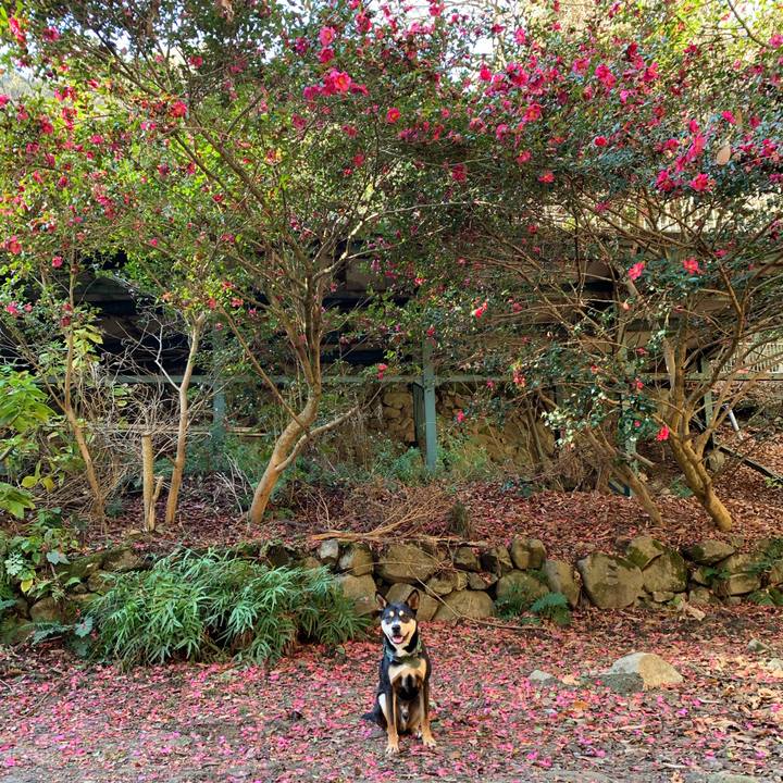 9d5cc61c 0172 4b92 a726 1f3c73524a95 1546416901557