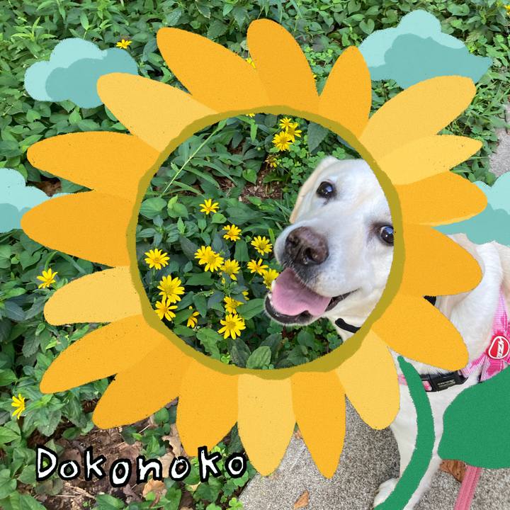 9d5cc62c 3874 4e31 980b c1ab5469a4b0 1723422927923