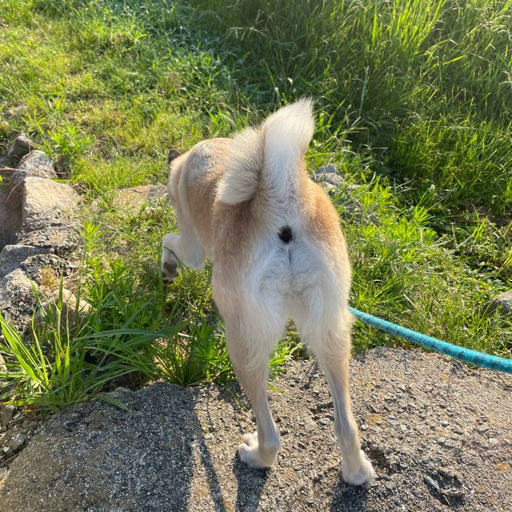 9d5ccb85 6d3b 496b 927a bbab588bcde5 1692619221088