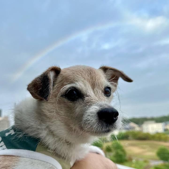 9d5ce10d 9b57 4a94 be53 d66a368f01a2 1727912107680