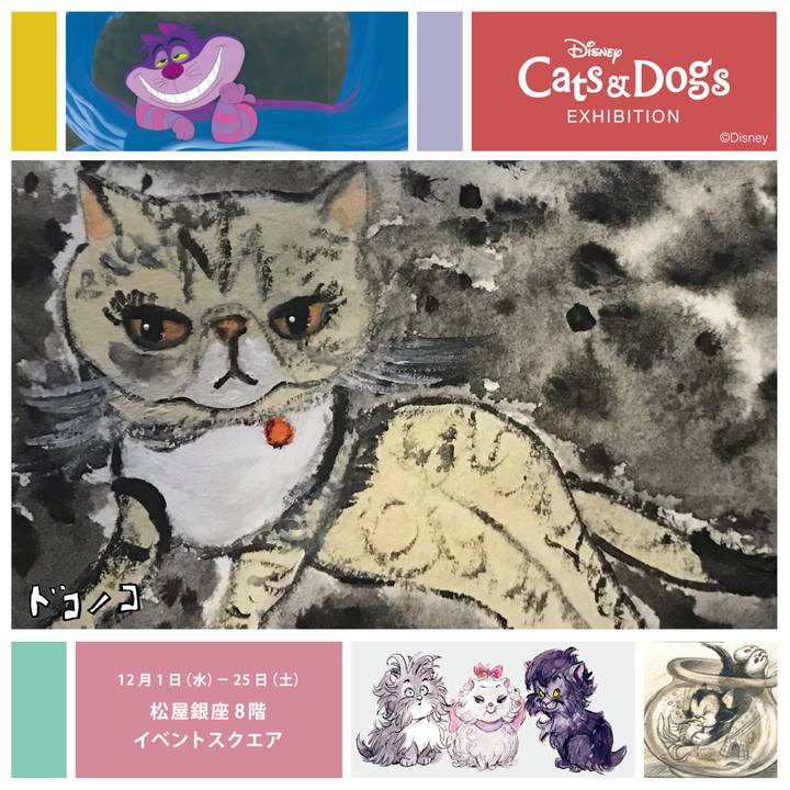 9d5d0428 32b9 40d9 906f 9f4f1bcbbf74 1638795575514