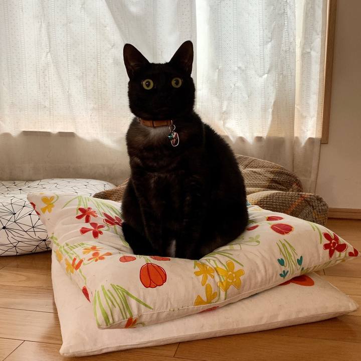 9d5d10c9 dd21 4c6b a3fc 1f05f8ae1a59 1582614399451