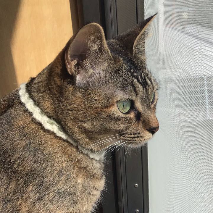 9d5d133c 414d 4b8d 90d4 5afdd03570fe 1649396150831