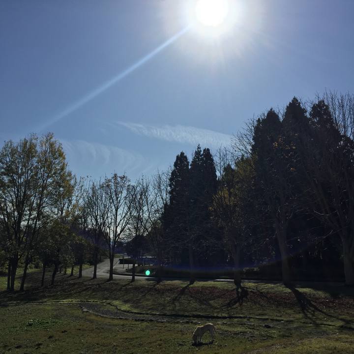 9d5d31f0 b692 4bd3 813e 2ecb0d7d0f05 1549448593425