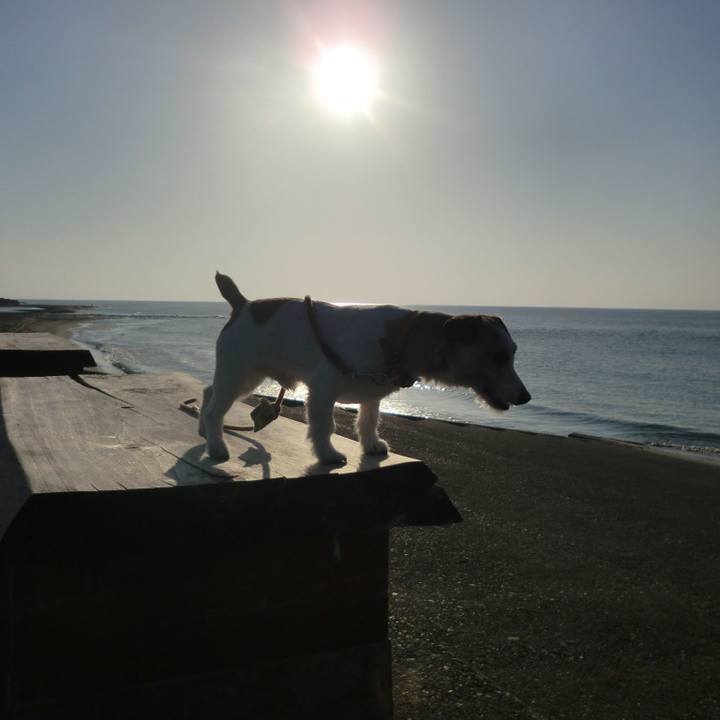 9d5d4660 a18c 4875 a11c c348b6294ede 1551870953621