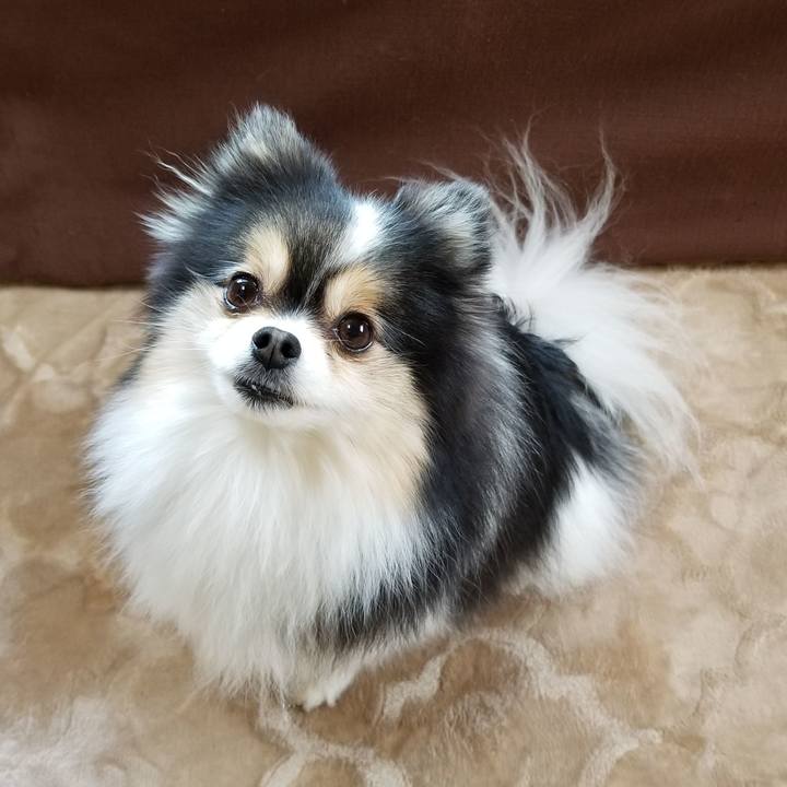 9d5d9478 c7dd 43a4 a8fc 0bbc3ccd496b 1588376073236