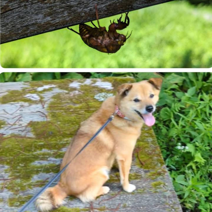 9d5d9ba2 bbbe 4975 9b46 ff074e00b0b8 1690019754437