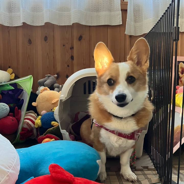 9d5e9239 1c27 48fd 9a28 05c4d43d95bc 1765003753626