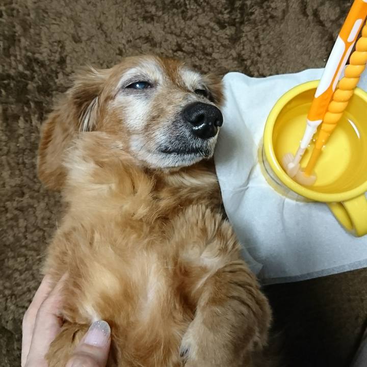 9d5e96ec 694e 452b 808a b5b0f4bb9e39 1509299782590