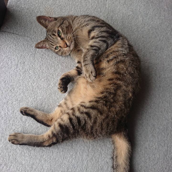 9d5ed9d6 27a1 4bbe 9110 d6ede05899dc 1593226485879