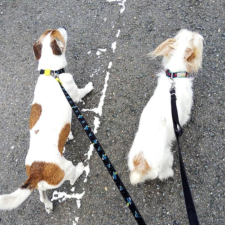 9d5f0019 ddd5 4833 ad04 b449a8ca3368 1562482075605