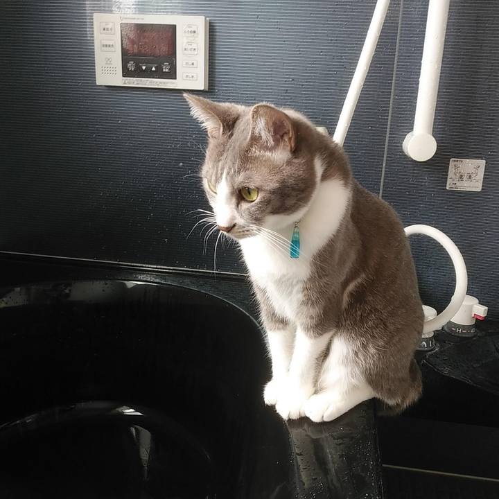 9d5f431b 46e7 40bc b04e 39147b554206 1619323064519