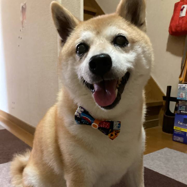 9d5f65ec 606e 40a8 8651 bed5a75a9cb4 1632659843633