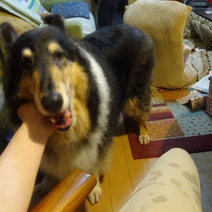 9d5fba27 bd9f 4fc2 989e 2b4717ce9f0b 1591270471622