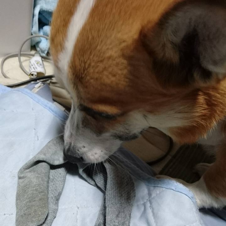 9d5fd421 a070 482f 8142 83776e7901d0 1607417010967