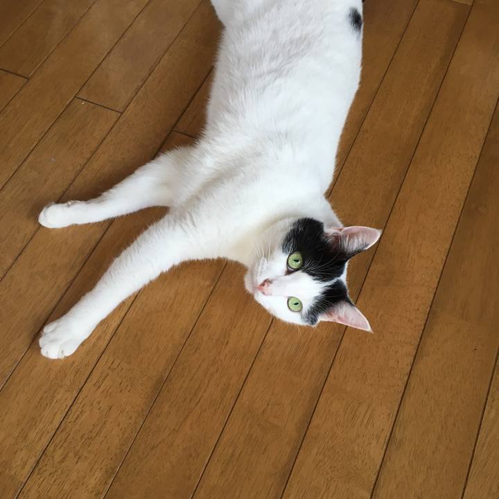 9d5ff627 39b6 4a67 bfa9 72fa81d154ca 1538923216008