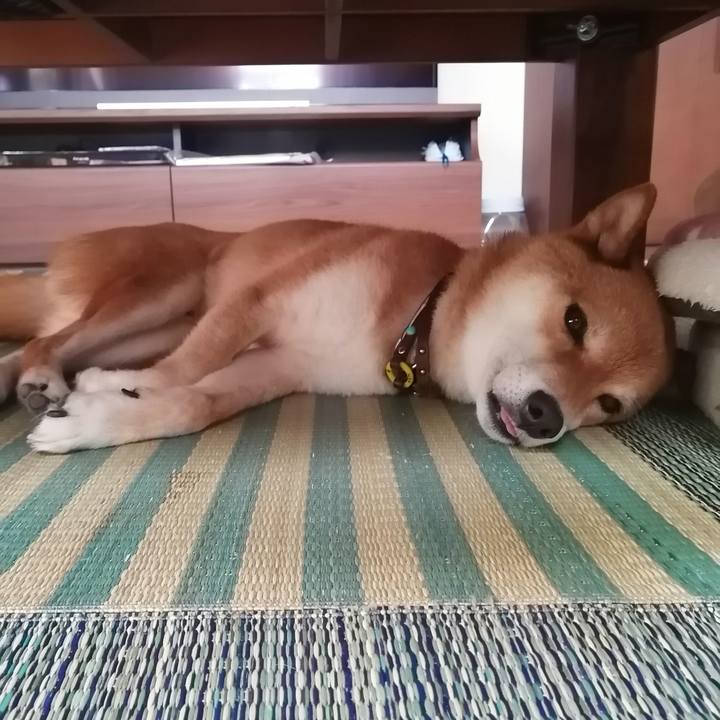 9d600aa2 5600 4f0f 94f7 4c3c2c733855 1594194067014