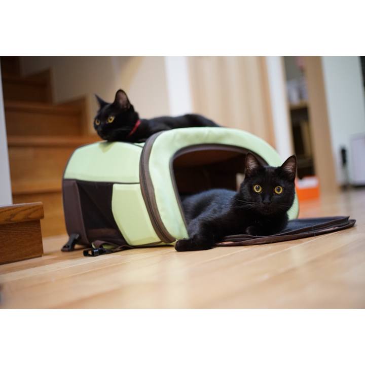 9d603250 a6e2 4650 9306 f3da8278a7fd 1522159980506