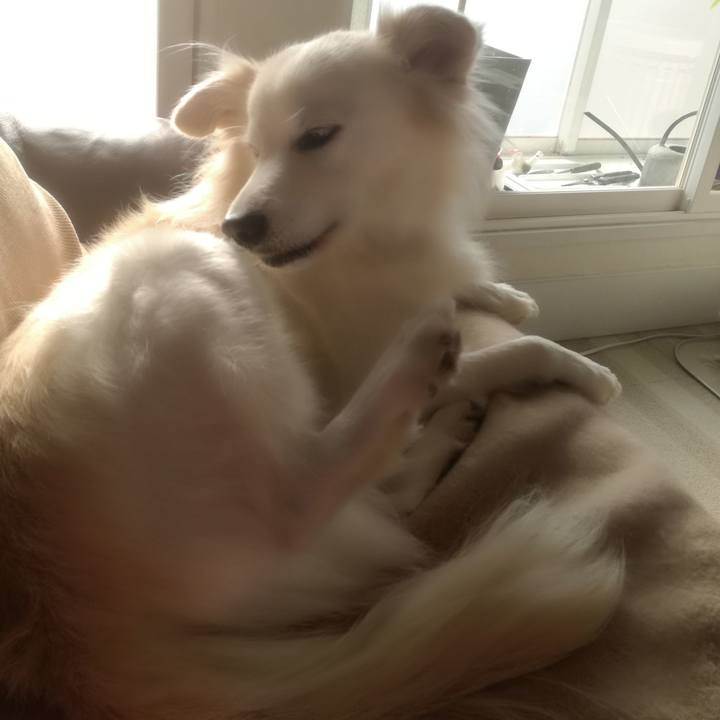 9d60353a 3604 42f9 80c1 d7e338e5b868 1510797698059