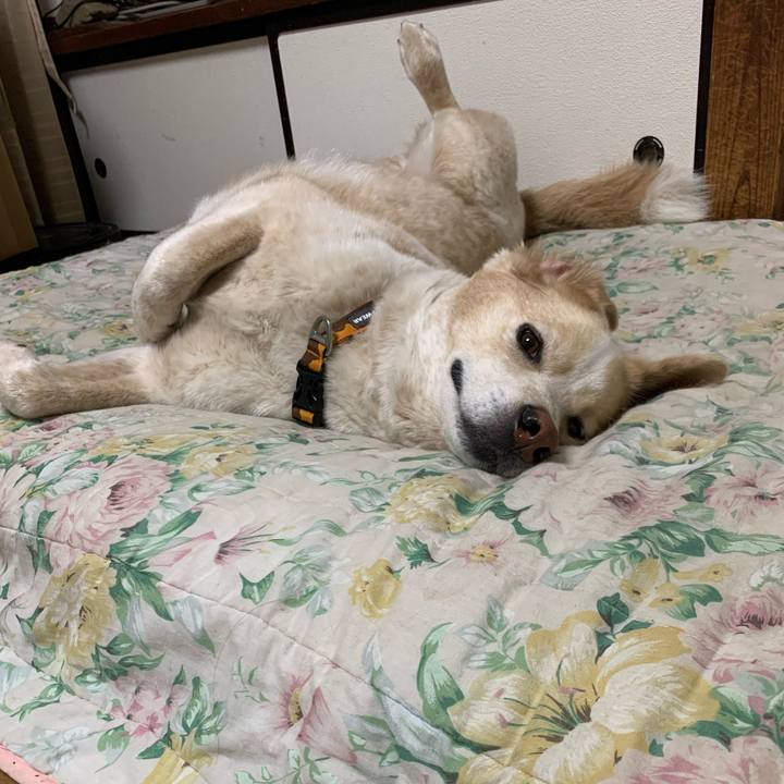 9d60ada1 38a3 453a 894a 5f1d3995d6e5 1590071431934