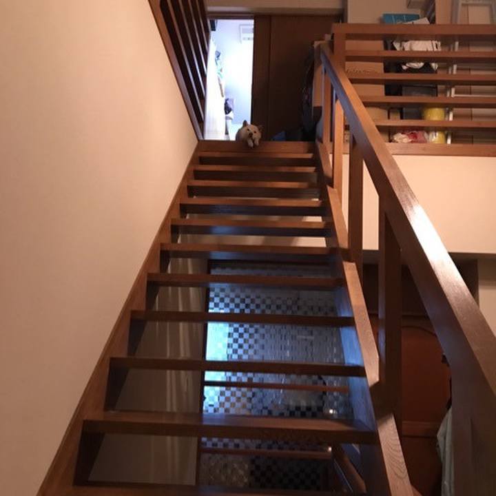 9d60af12 b68c 4c62 bde2 809556eabbad 1647314963490