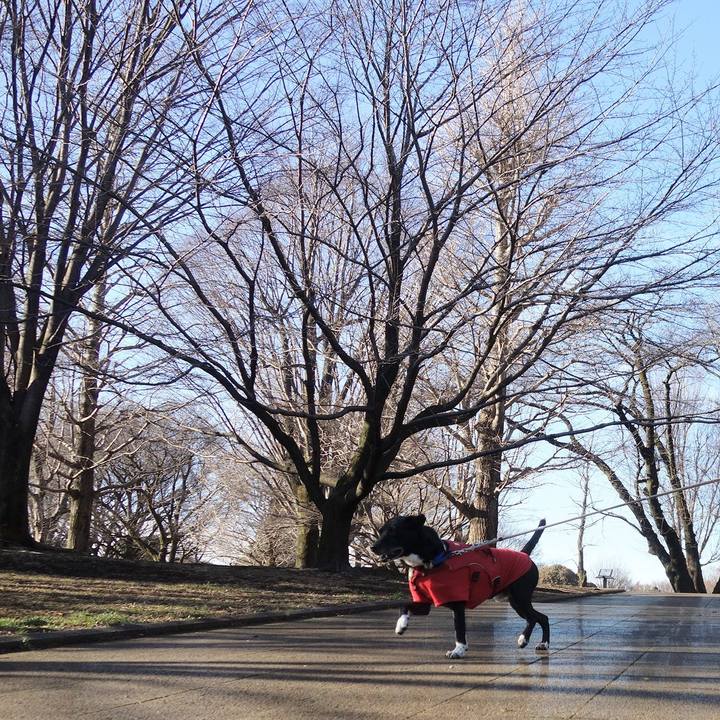 9d60e577 d024 4359 ae7e 37cf2d2aa041 1677288819702