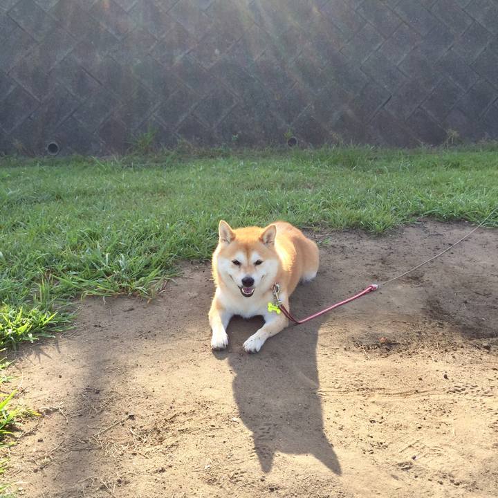 9d60f6e8 2a19 4e2a be23 5211e1386c33 1565049797715