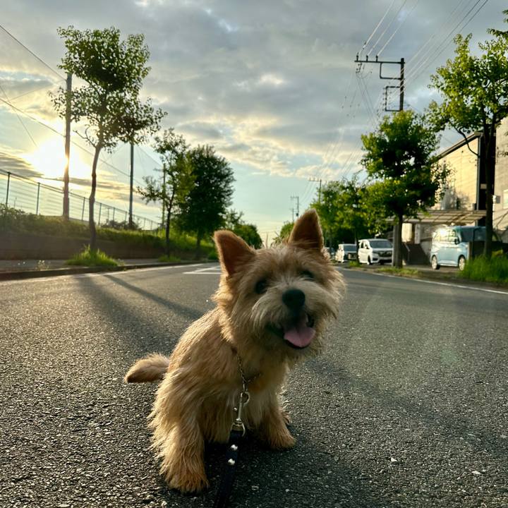 9d61698c ca10 4177 a006 4a633624383e 1722475849881