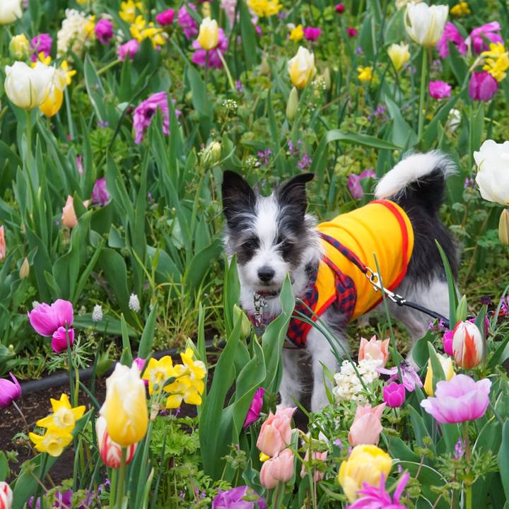 9d618221 767b 49cc a376 0ee27480fe09 1554716680980