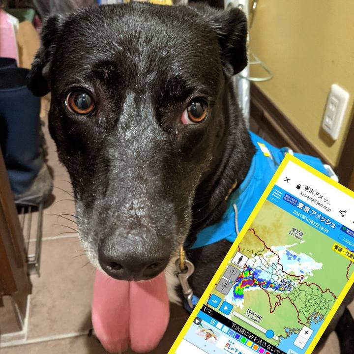 9d618e78 2228 48b3 adcf 000077321552 1633172996087