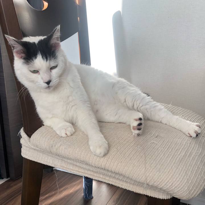 9d61b354 4fc6 41f5 b6d4 c2cb787375b3 1587218904626