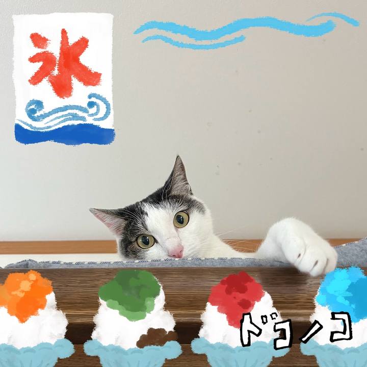 9d61cba1 65f9 450f b8be 5ca143d5a495 1723294833164