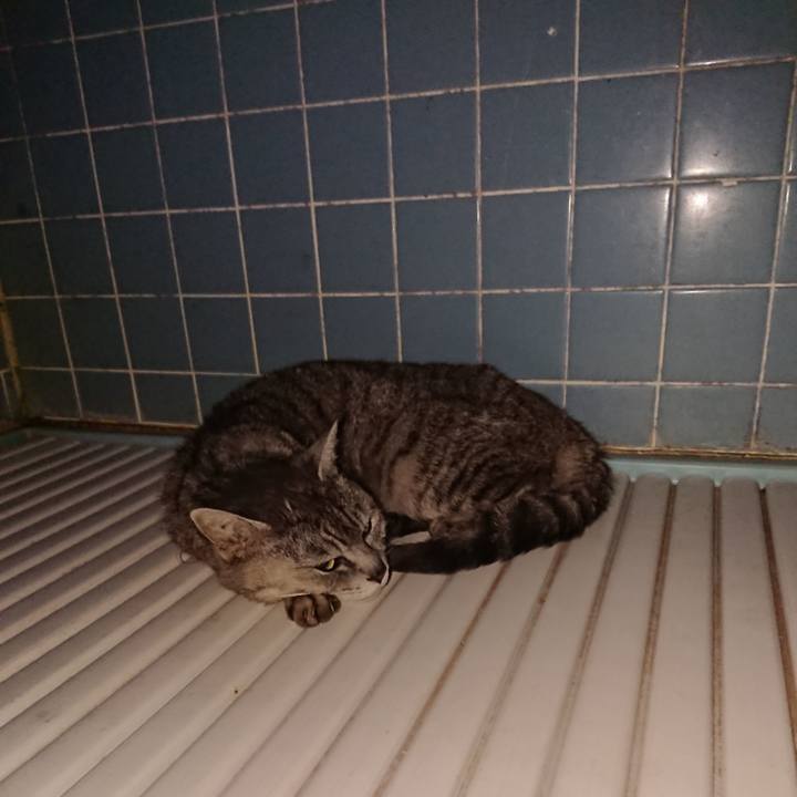 9d61d6c1 3df9 413d 96bc 60a0f0f43e8f 1591384603111