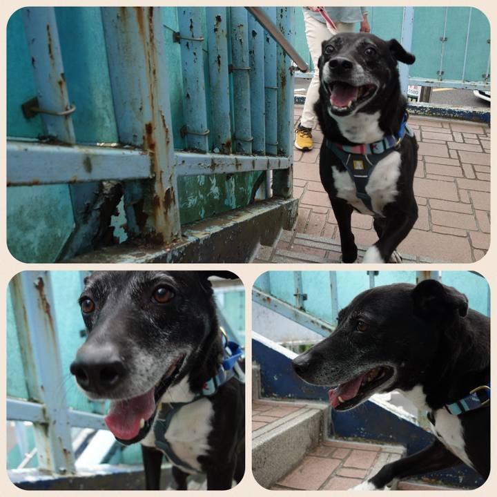 9d61ee12 189c 40c3 97fe 24339d62deb9 1748312363001